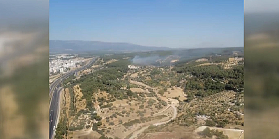  İzmir Buca'da orman yangını