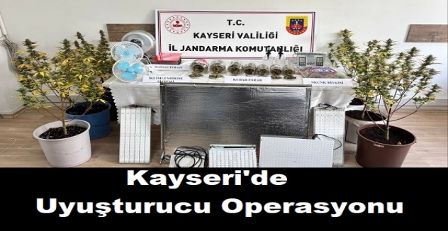 Kayseri'de 830 gram Kubar Esrar 6 Kök Skunk Bitkisi Ele Geçirildi