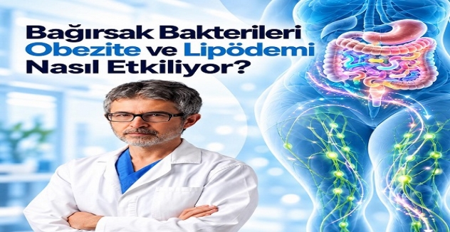 Bağırsak Bakterileri Obezite ve Lipödem bağlantıları