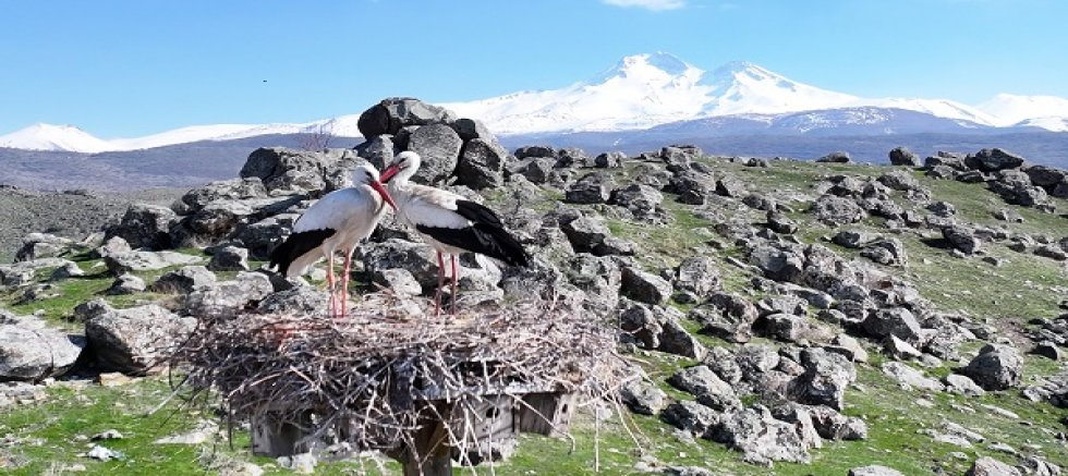 Doğanın uyanışı, Hürmetçi Sazlığı'nda sahneleniyor