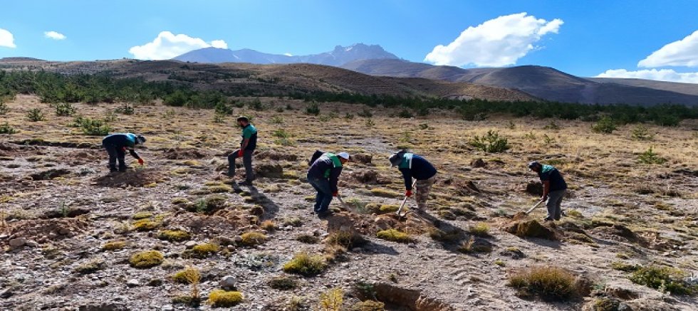 Erciyes’in Eteklerinde Yeşil Seferberlik