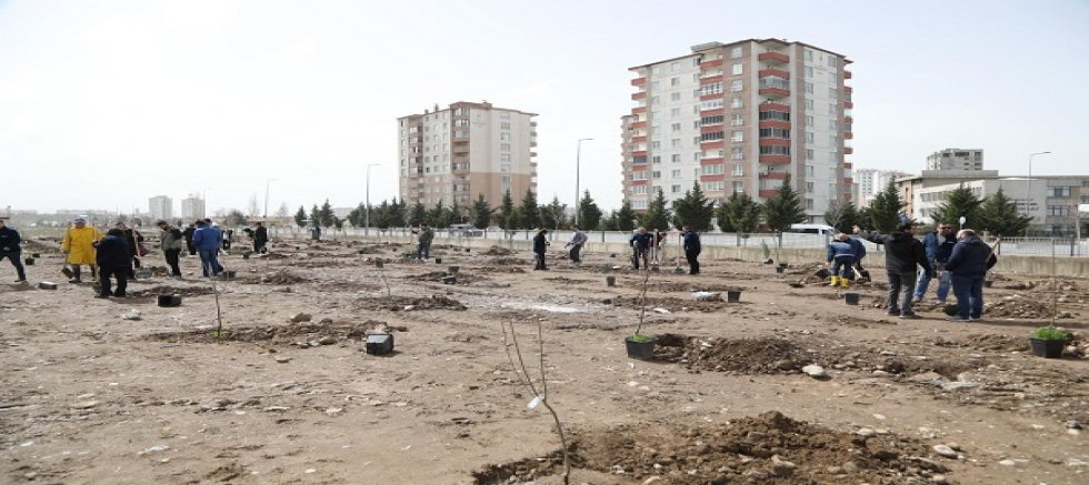 Erciyes Teknopark’ta Fidanlar Toprakla Buluştu