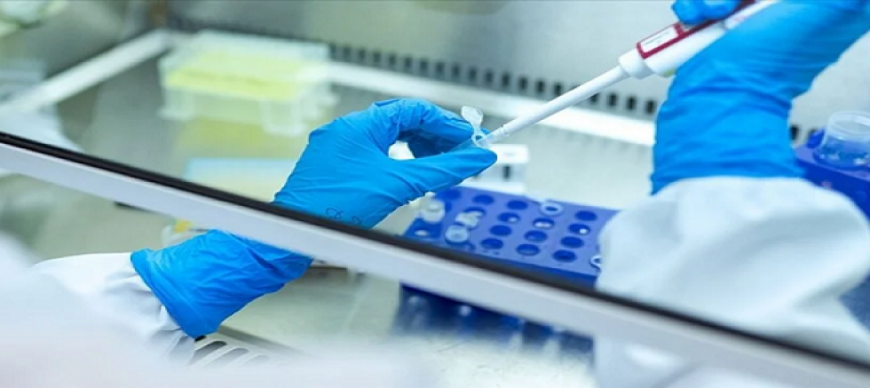 Kanser'de'Sıradışı 'Yolaklar keşfedildi