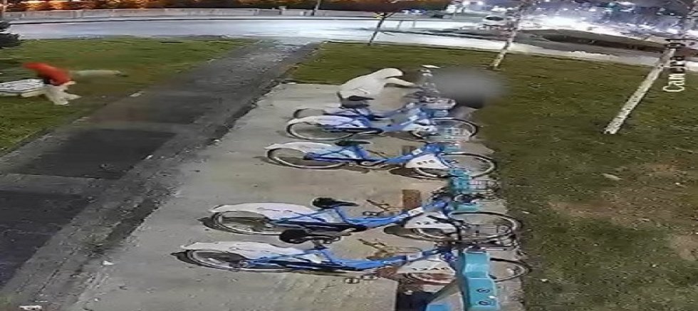 Kaybis'e Vandalizm Uyarısı