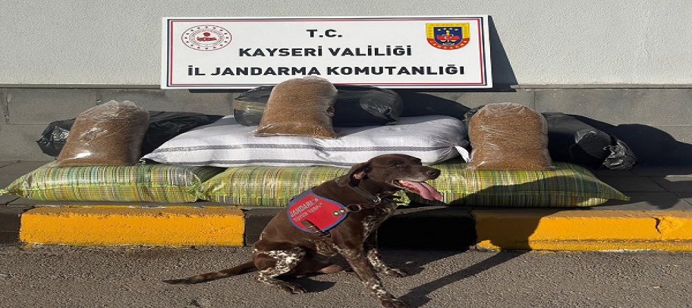 Kayseri'de 230 kg kaçak tütün ele geçirildi