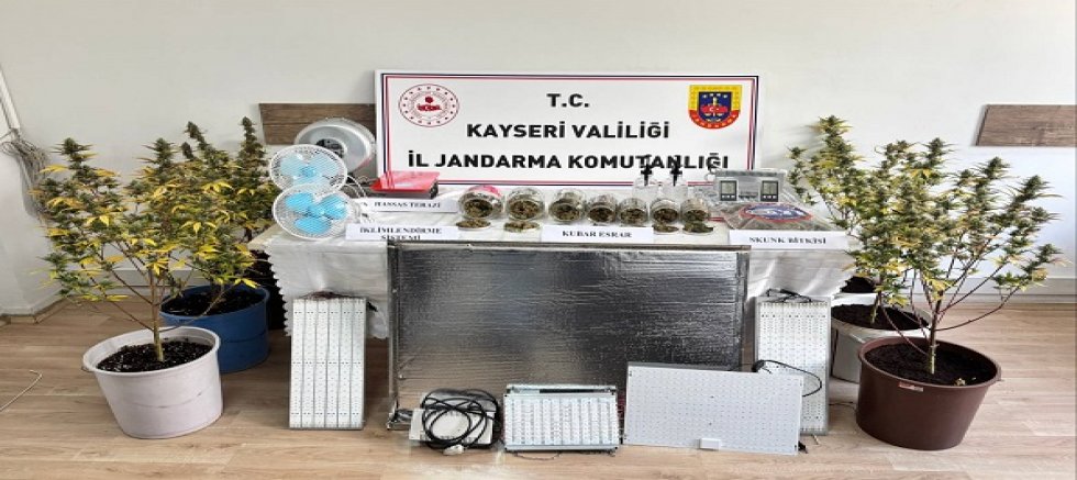 Kayseri'de 830 gram Kubar Esrar 6 Kök Skunk Bitkisi Ele Geçirildi