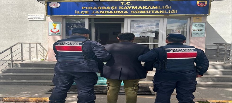 Kayseri'de köpeğini ağaca asıp öldüren şahıs gözaltına alındı