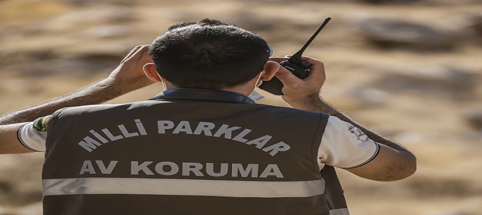 Kayseri'de koruma altındaki yaban keçisini avlayan şahısa para cezası