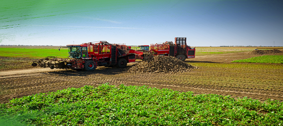 Kayseri Şeker'de çifçiye 3.söküm avansı