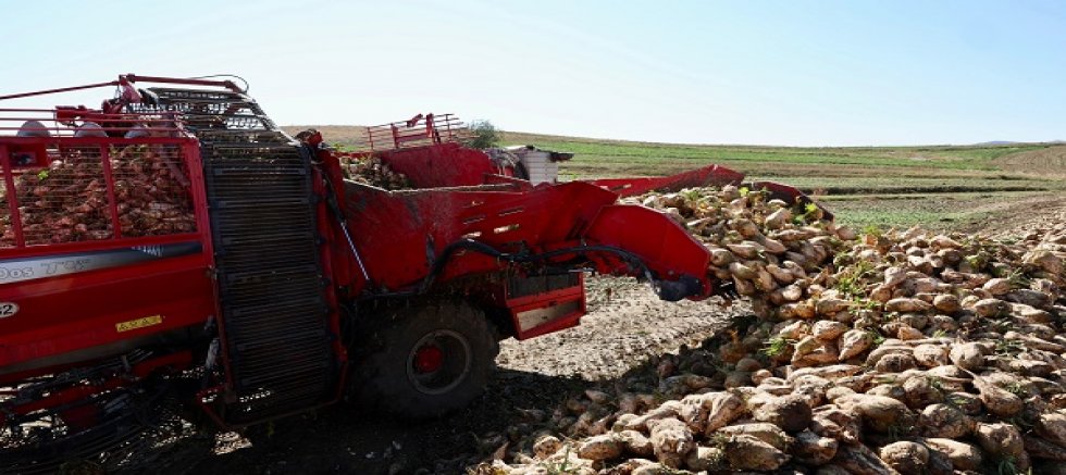 Kayseri Şeker'de sezonun ilk pancar hasatı