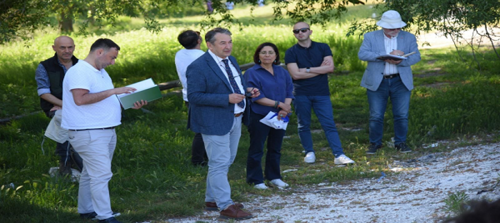 TÜRKİYE’NİN SİGORTASI: KIZILÇAM ORMANLARI