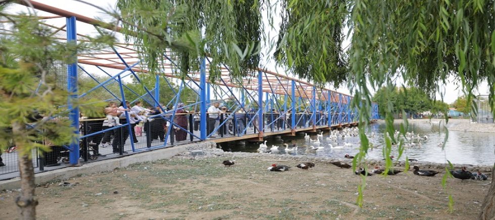 Ücretsiz Hayvanat Bahçesi Uygulamasına, Dünya Hayvanları Koruma Günü’nde Yoğun İlgi