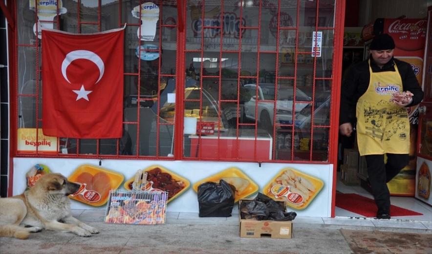 Sokak kedi ve köpekleri onun yolunu gözlüyor