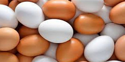 5. Yumurta Zirvesi Sonuç Bildirgesi açıklandı