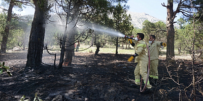 Adana'da 6 noktadaki orman yangınlarıyla ilgili bir zanlı tutuklandı