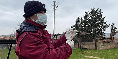 Adıyaman'da karantinaya alınan köylerdeki hayvanlar aşılanıyor