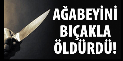 Ağabeyini bıçakla öldüren kişi polise teslim oldu