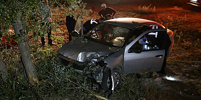 Ağaca çarpan otomobilin sürücüsü hayatını kaybetti