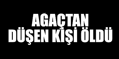 Ağaçtan düşen kişi öldü