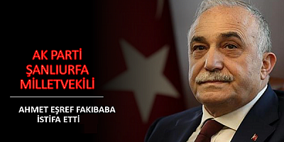 Ahmet Eşref Fakıbaba, AK Parti ve milletvekilliğinden istifa etti