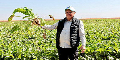 AKAY: “PANCAR TARIMI STRATEJİK BİR DEĞER”