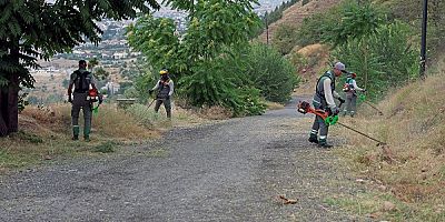  Ali Dağı'nda yangına karşı önlemler
