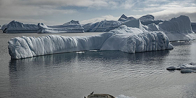 Antarktika buzulları