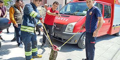 Apartmanın su borusuna giren yılan, itfaiye ekiplerince çıkarıldı