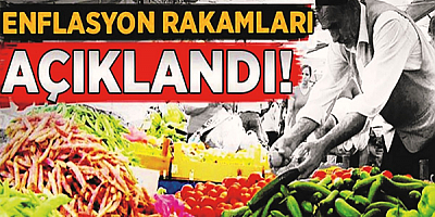 Aralık ayında enflasyon yüzde 0,89 yükseldi