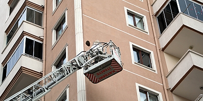 Arılar oğul verdi belediye duvardan indirdi