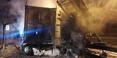 Bariyere çarparak alev alan tırın sürücüsü hayatını kaybetti