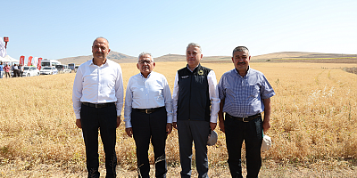 Başkan Büyükkılıç, nohut hasadına katıldı