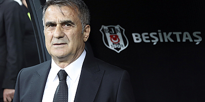 Beşiktaş'ta teknik direktörlüğe Şenol Güneş getirildi