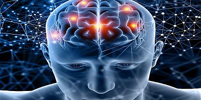 Beynin Temizlik Dengesi Bozulursa Öğrenme de Etkileniyor