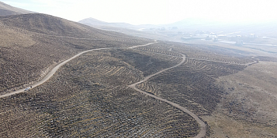 Kayseri'de 140 hektarlık alan da 5 farklı türde 181 bin 500 adet fidan dikildi