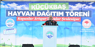 Büyükşehir, 3 Bin 200 Küçükbaş Hayvan Dağıtımına Başlıyor