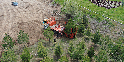Büyükşehir Belediyesi Mimarsinan OSB'ye ağaç dikiyor