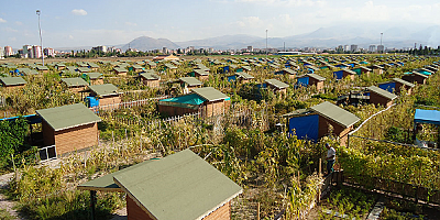 Büyükşehir'de 2 Bin 543 Adet 