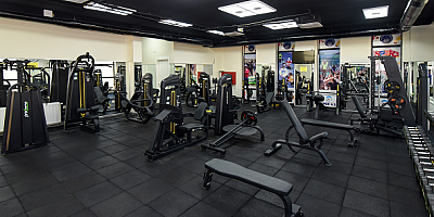 Büyükşehir'den Bilimsel Araştırmalara Bir Katkı Daha