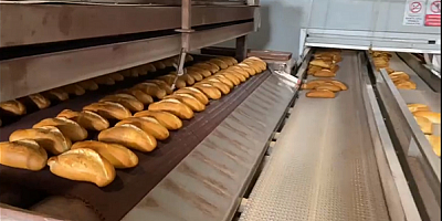 Büyükşehir'den Gıdadan Giyime Barınmadan Altyapıya Kadar Deprem Bölgelerine Güçlü Destek