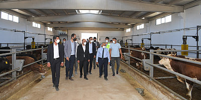 Büyükşehir'den Tarıma 3 Ayda 25 Milyon TL'lik 3 Bin Ton 