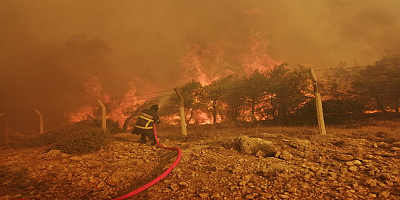 Büyükşehir İtfaiyesi Mersin'deki Orman Yangınlarını Söndürmek İçin Canla Başla Görev Yaptı