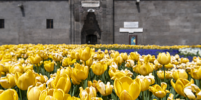 Büyükşehir Kayseri'yi çiçek bahçesine çevirdi