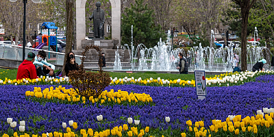 Büyükşehir kenti  lale ve sümbüllerle donattı