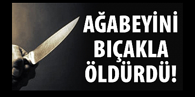 Çamaşır makinesi açma kapama tartışmasında doktor ağabeyini öldürdü