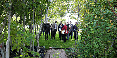 Çevre dostu Büyükşehir 2021'de daha yeşil bir Kayseri için çalıştı