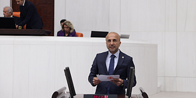 CHP’li Aşkın Genç’ten NEET gençler için araştırma önergesi