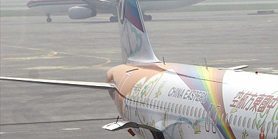 Çin'de 132 kişi taşıyan yolcu uçağı Guangşi eyaletinde düştü 