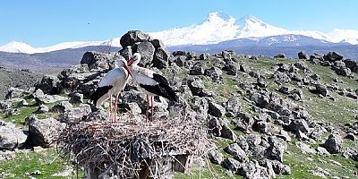 Doğanın uyanışı, Hürmetçi Sazlığı'nda sahneleniyor