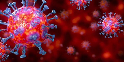 Dünyada ciddi artış beklenen grip ve Kovid-19'a karşı 